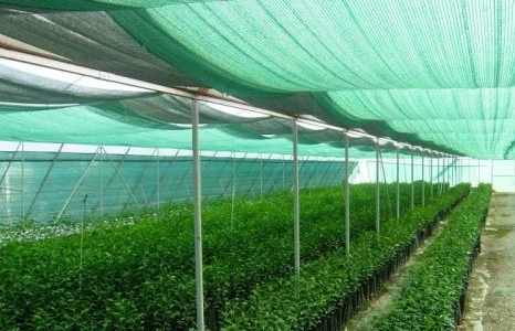 Сетка затеняющая Karatzis зеленая (8х50) 65%