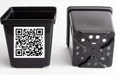 Квадратні горщики для квітів та розсади Kloda