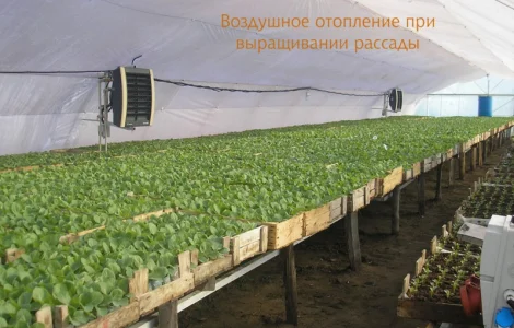 Отопление теплиц