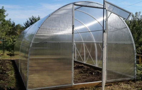 Арочные дачные теплицы