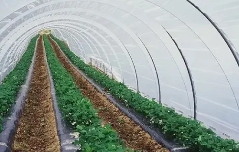 Плівка теплична турецька Vatan Plastik 150 мкм