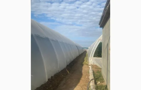 Багатошарова плівка теплична Ватан Пластік