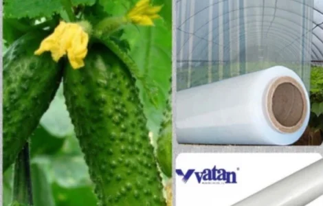 Купить тепличную пленку Vatan Plastik