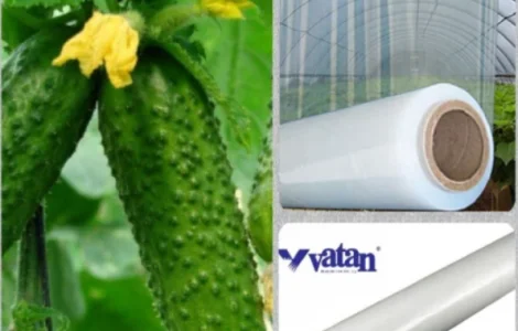 Плівка для теплиць від турецького виробника Vatan Plastik