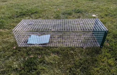 Живоловушка на кота. Метровая живоловка. Котоловка c педалью. Суперкотоловушка