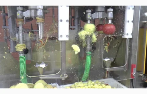 Машина для очистки, нарезания, удаления сердцевины яблок 300-500 кг/час