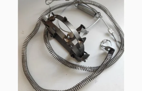 Капкани на кабана