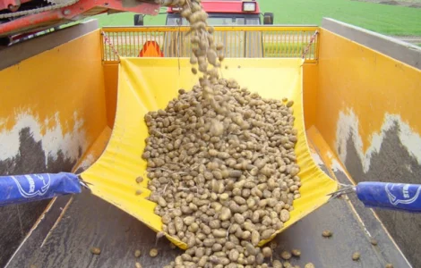 Гаситель падіння овочів для причепів