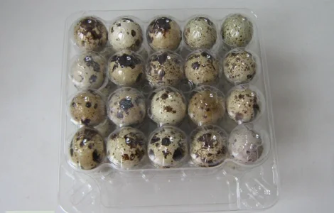 Прозрачная упаковка для перепелиных яиц