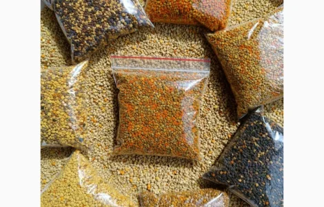 Продается цветочный пилок 2025 года – 350 грн/кг