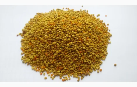 Пыльца цветочная — продажа