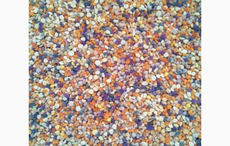 Продаж пильци з власної пасіки