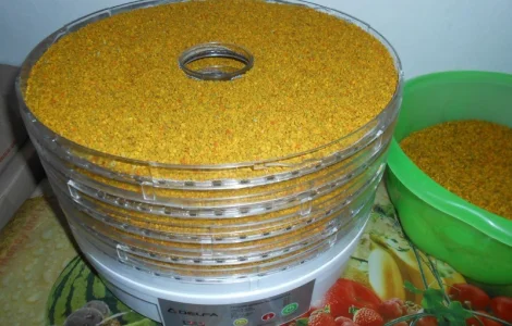 Квітковий пилок / бджолина обножка / пыльца