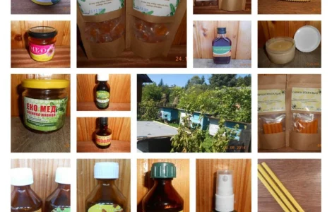 Ліки на основі продуктів бджільництва