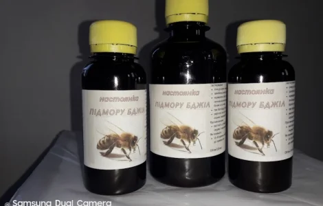 Бджолиний підмор настоянка