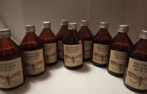 Настоянка воскової молі