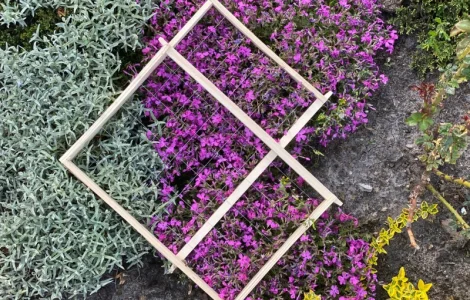 Рамки для вуликів від виробника – Дадан, Рута, напіврамка