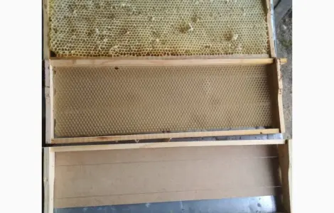 Продам рамки для вулика