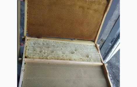 Продам сушь – рамки 300 и 145