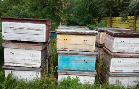 Продам вулики лежаки бу