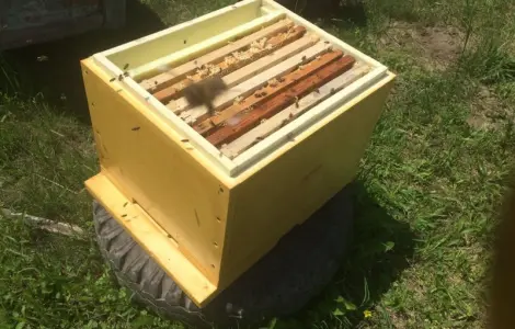Ульи из ППУ