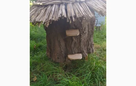 Продается вулик на 12 рамок