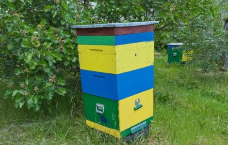 Продам корпусні вулики