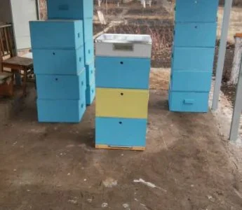 Вулики з ППС, 2 корпуси по 12 рамок — легкі та практичні