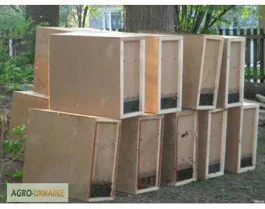 Ящики для перевозки пчел – надежные и качественные решения