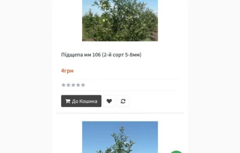 Продам саджанці яблуні