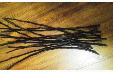 Черенки плодовых деревьев