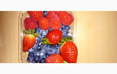 Саженцы клубники сорта Монтерей