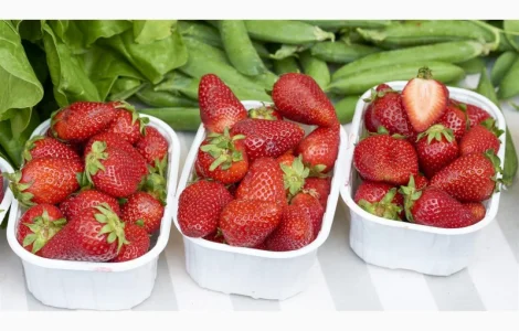 Саженцы полуницы Корі (Cory Strawberry) в продаже