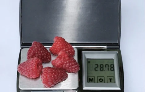 Продам саджанці ремонтантної малини Аміри