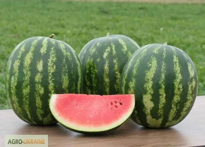 Продаются семена арбуза Кримстар F1 от производителя Sakata
