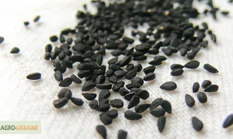 Продам семена Чернушки