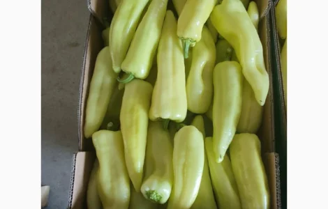 Продам овощи, цитрус и ягоды от поставщика с Греции