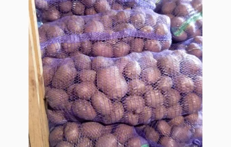 Картопля, цибуля, морква, буряк, капуста, селера, ягоди, гриби