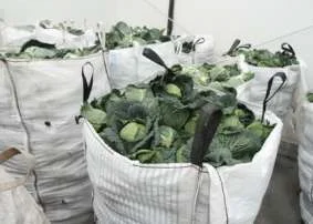 Продам овочі опт (картопля, капуста, морква, буряк, пекінська капуста, селер) та ін