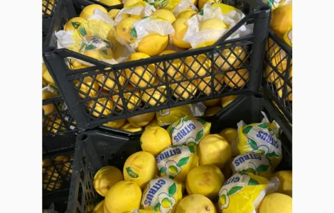 Овощи, фрукты, зелень, соления, экзотика. Опт