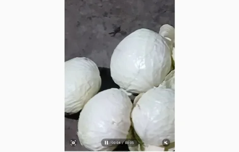 Продам овощи, морковка, буряк, лук, капуста