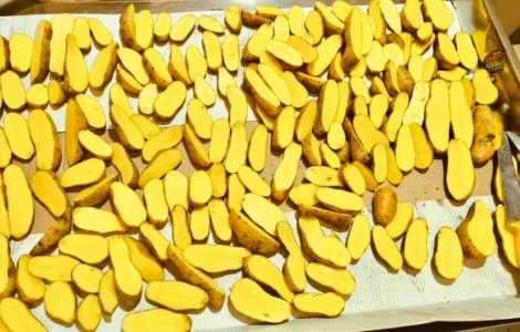 Продамо картоплю Коломбо, Гранада