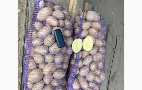 Продам товарну картоплю