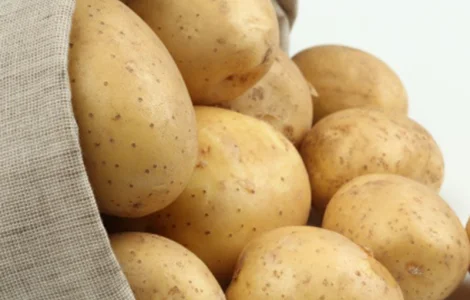 Свежий желтый картофель, Киев Whatsapp +33758499139