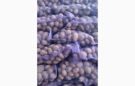 Продам картофель отличного качества сорт