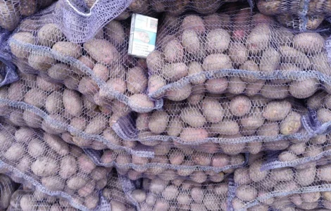 Продам картофель