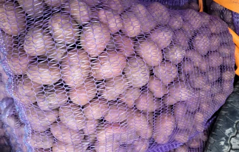 Продаж насіннєвого картоплі: Рівєра, Арізона, Белароса, Коломбо