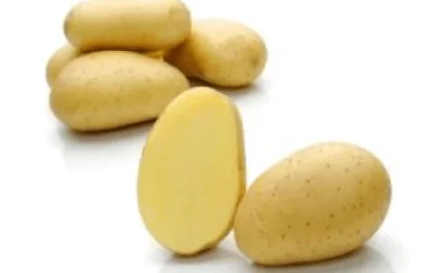 Семенной картофель Мелоди 5 кг