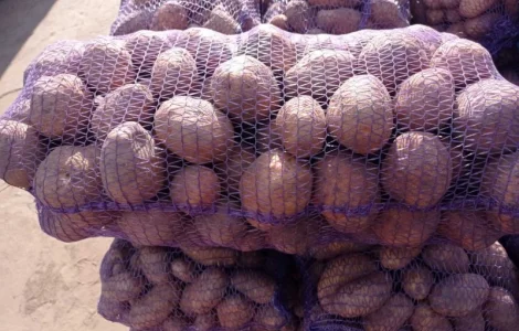 Куплю картошку