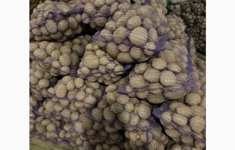 Срочно!!’ Куплю Картофель от 4 ех машин 88 тонн